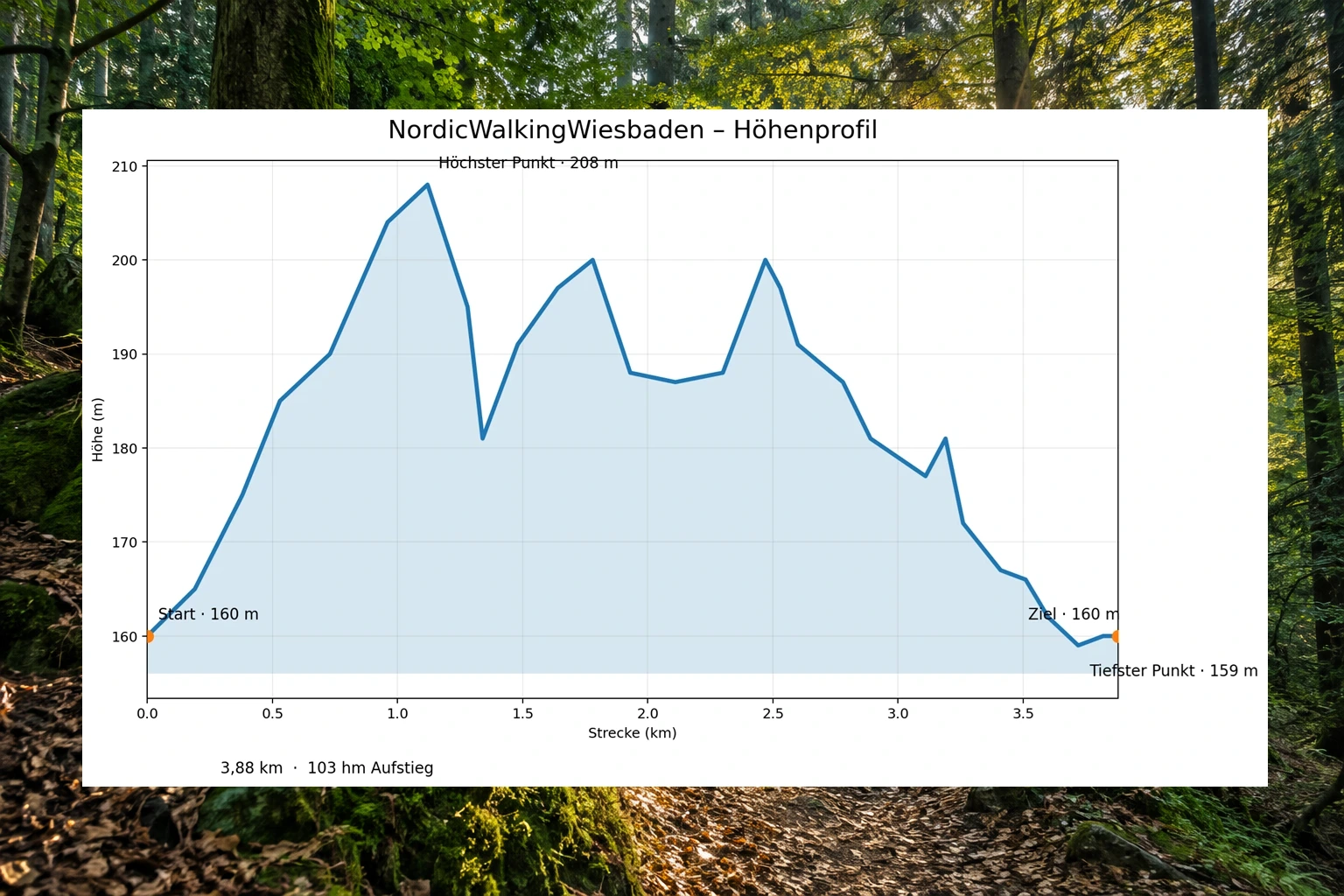 Höhenprofil und Verlauf der Nordic-Walking-Trainingsstrecke